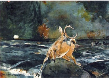 A Good Shot, Adirondacks 1892 by Winslow Homer