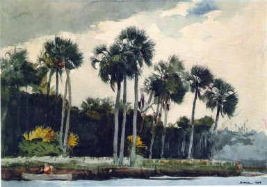 Red Shirt, Homosass, Florida 1904 by Winslow Homer