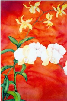 Dendrobiums Phalaenopsis by Sara Steele
