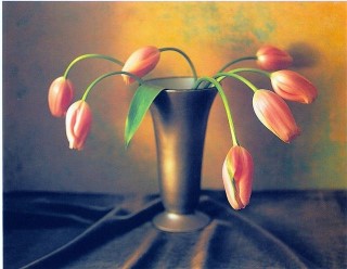 French Tulips 2000 by Masotomo Kuriya