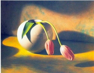 French Tulips by Masotomo Kuriya