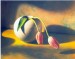 French Tulips by Masatomo Kuriya