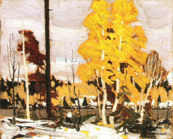 T.Thomson, Near Grand Lake, Algonquin Park, fall 1916.jpg