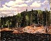 T.ThomsonLakesideSpringAlgonquinParkspring1915.jpg