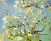 VincentvanGoghBlossomingalmondtree1890..jpg