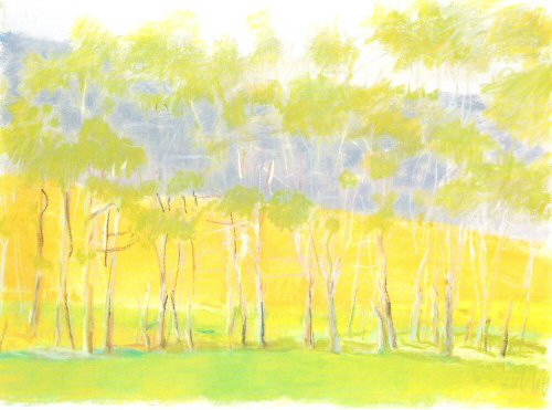 Wolf Kahn, Featuring a Clear Orange  , 1996..jpg