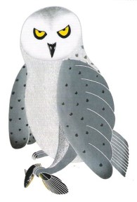 Grey Owl by Kavavaow Mannomee