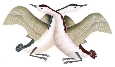 Mating Geese by Kavavaow Mannomee