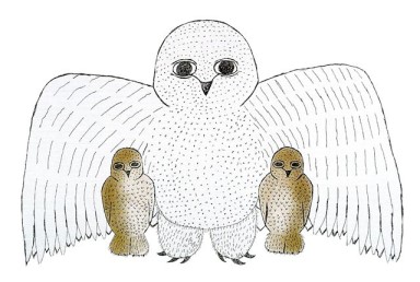Mother Owl Shelters Young by Nikotai Mills