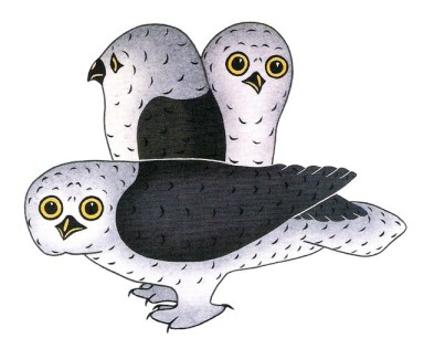 On the Lookout by Kananginak Pootoogook