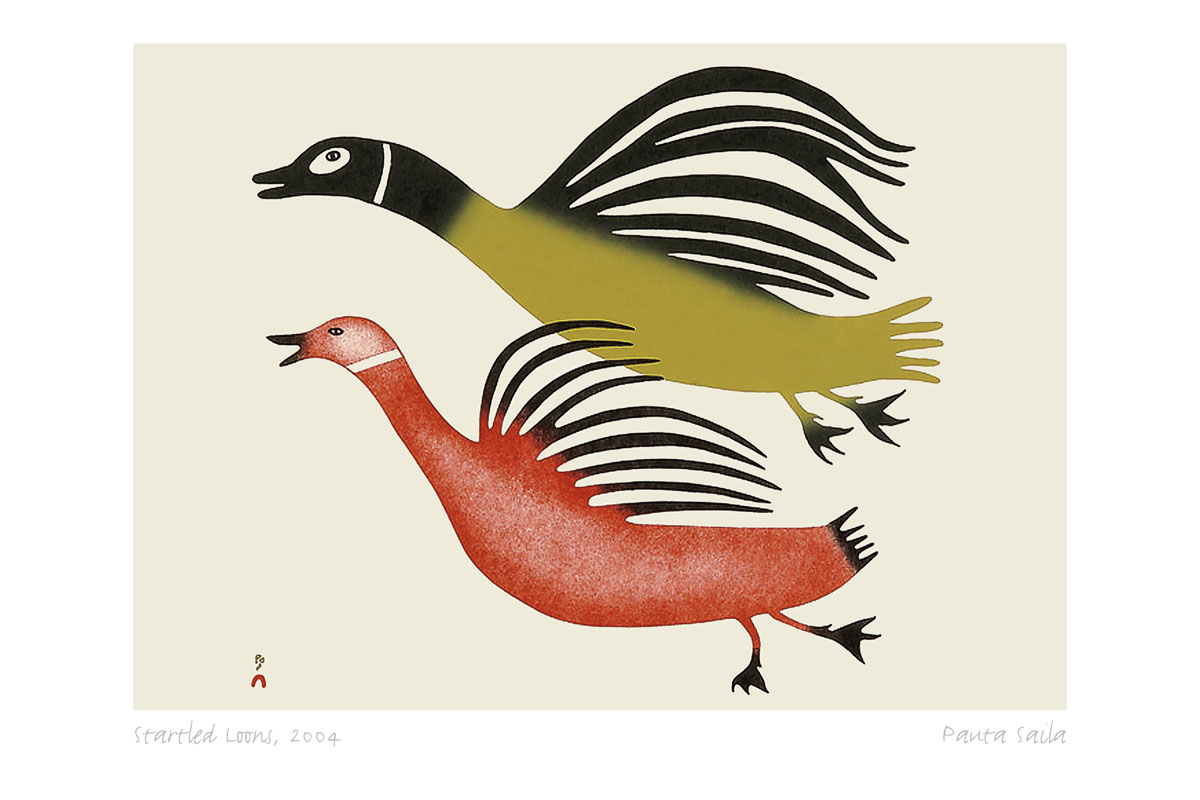 Startled-Loons