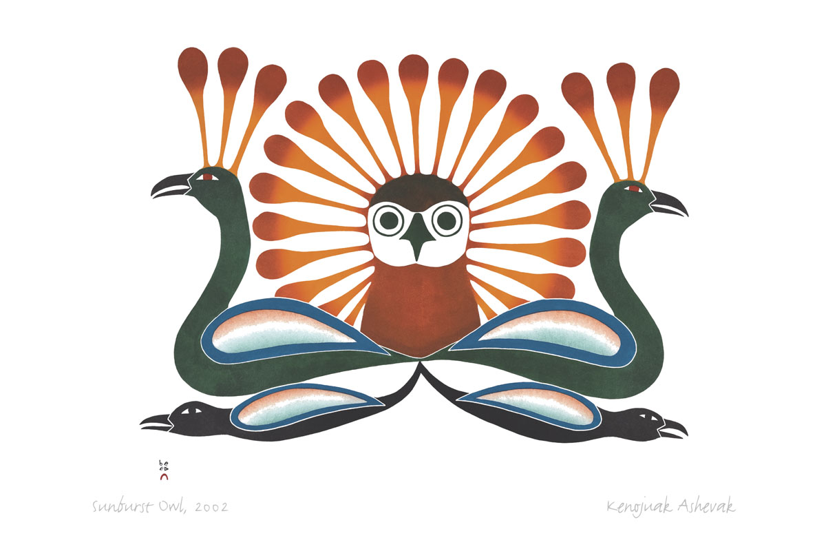 Sunburst-Owl