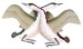 Mating Geese by Kavavaow Mannomee