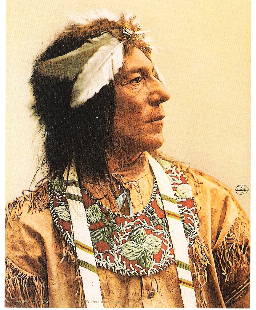 Obtossaway, a Chief of the Ojibwas,1903.-C. Muller..jpg