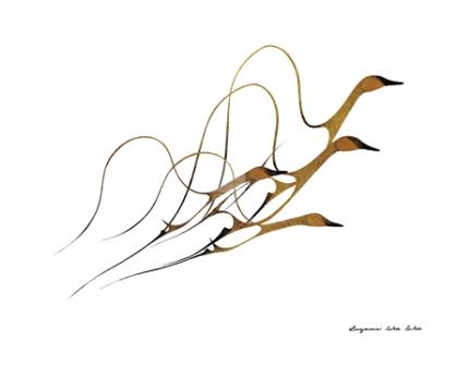 Spring flight 