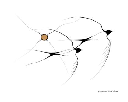 Swallows