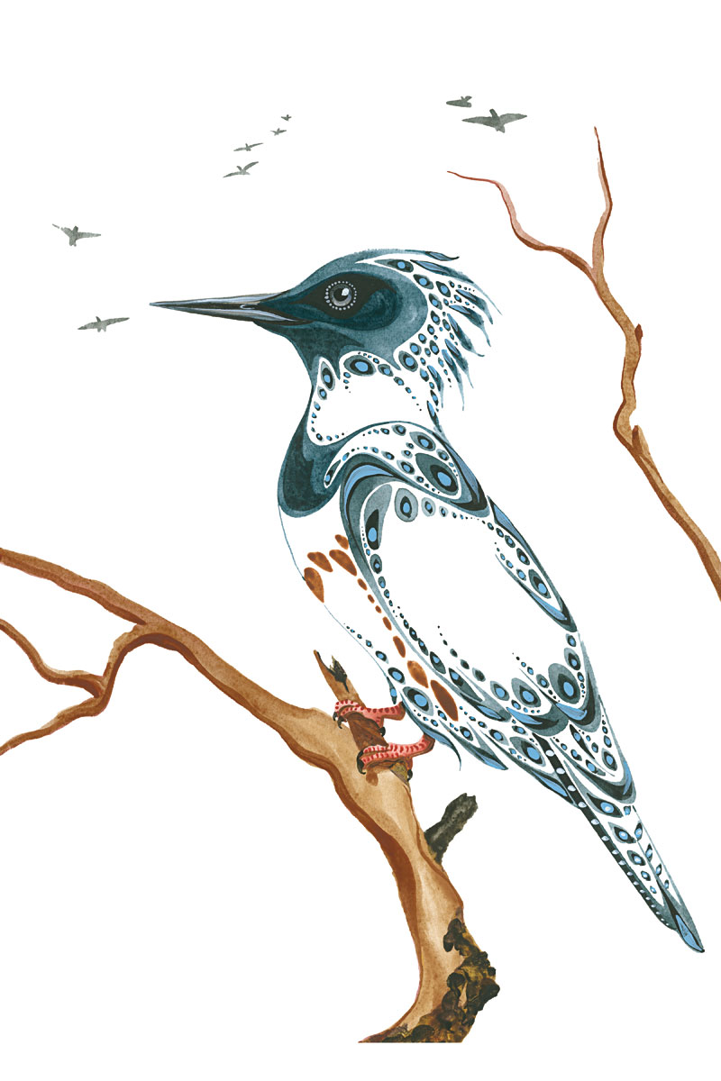 Resting-Kingfisher