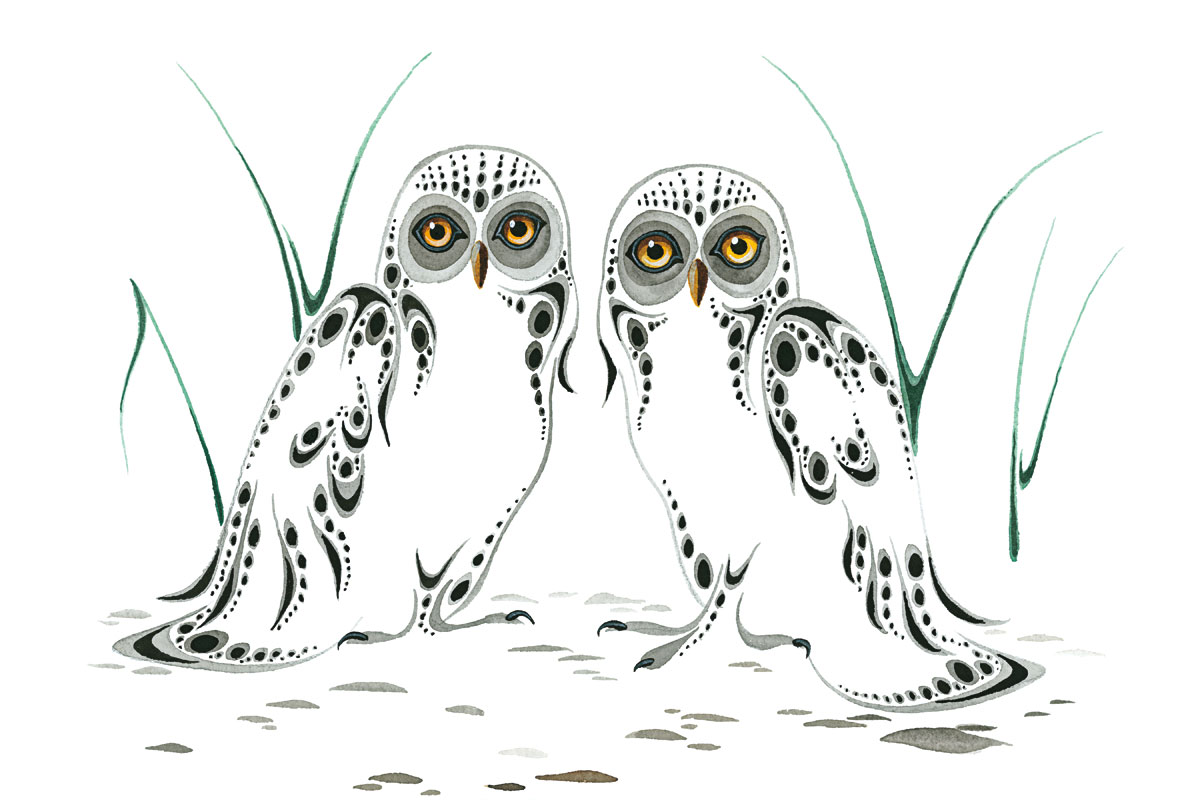Two-Owls