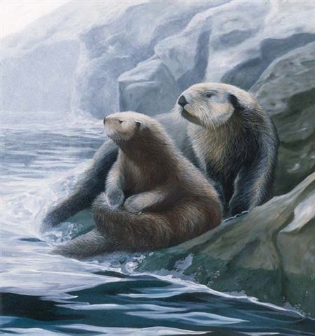  Otter  