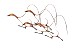BenjaminCheeCheeAutumnFlight95.00cdsmatted.jpg