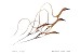 BenjaminCheeCheeSpringFlightspecialprint20x20.jpg