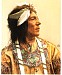 ObtossawayaChiefoftheOjibwas1903.C.Muller..jpg