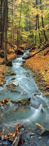 Autumn at Tiffany Creek, Hamilton, ON