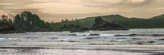 Long Beach, Tofino