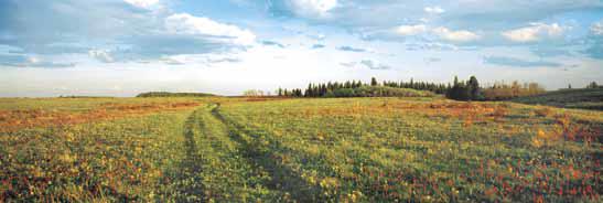 Prairie Trail, SK