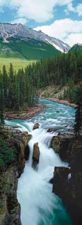 Sunwapta Falls, AB