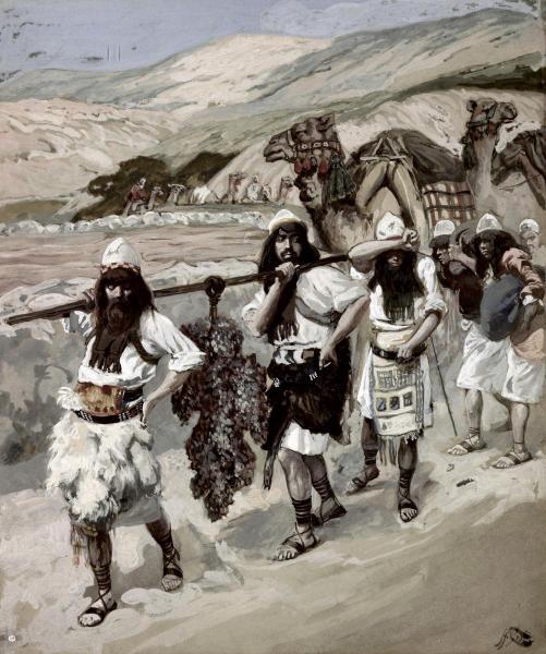 Grapes of Canaan