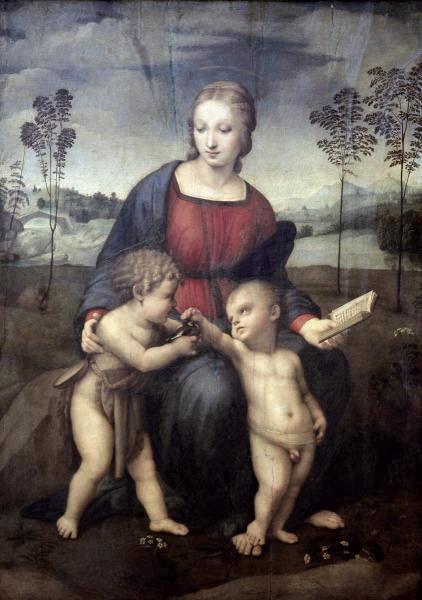 Madonna of The Goldfinch  