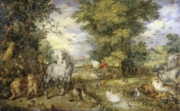 The Animals Approaching the Ark