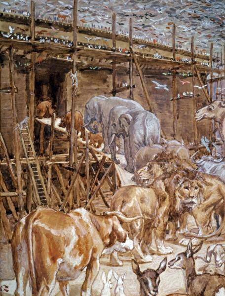 The Animals Enter the Ark