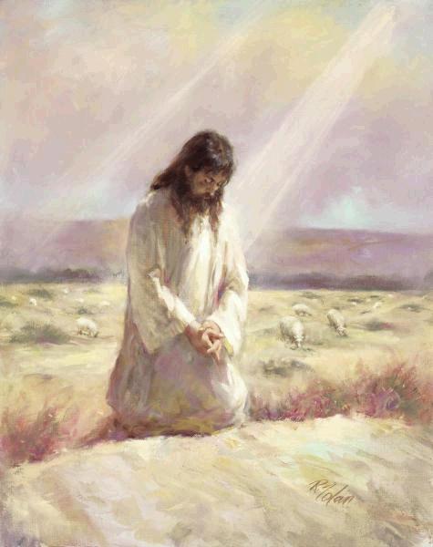 The Shepherd