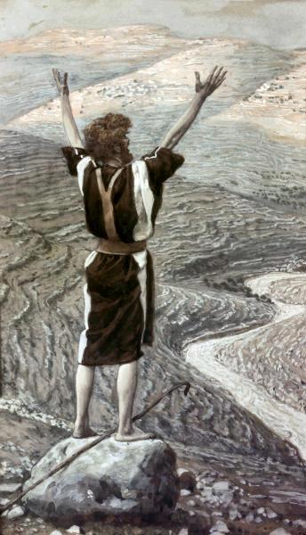 Voice In The Desert