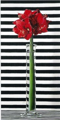 Amaryllis on Black and White 2002 by Ben Schonzeit
