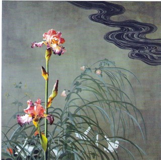 Iris Edo 1997 by Ben Schonzeit