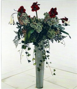 Klaus's House 2001 by Ben Schonzeit