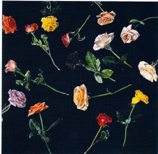 Union Square Roses 2001 by Ben Schonzeit