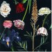 A Dance of Flowers 2002 by Ben Schonzeit