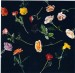 Union Square Roses by Ben Schonzeit