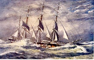 Port Jackson in Heavy Weather by William McDowell