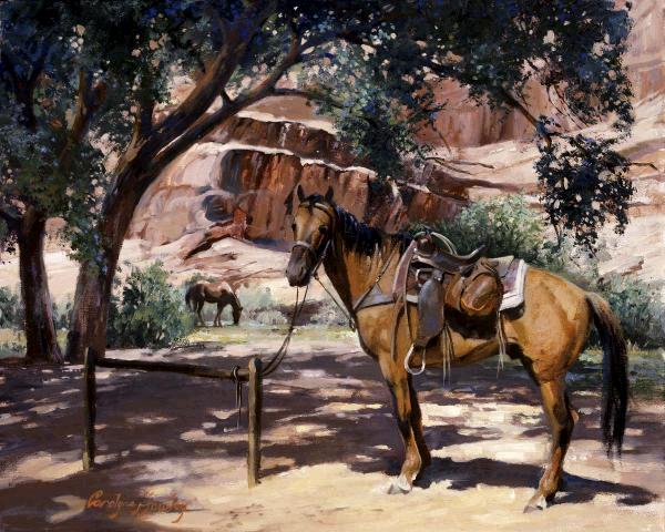 Canyon Shade