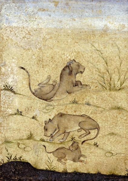 A Family of Lions