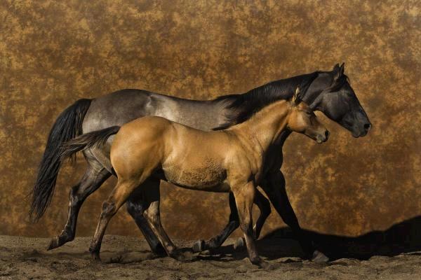 Mother & Son