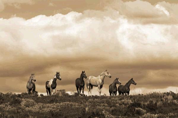 Prairie Song