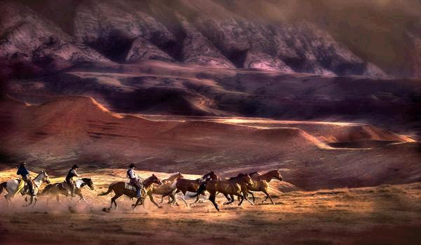 Range Riders