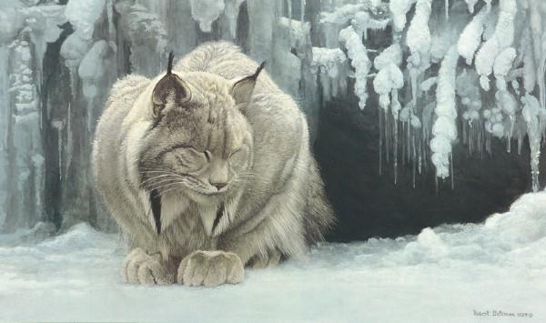 Dozing Lynx (detail)  