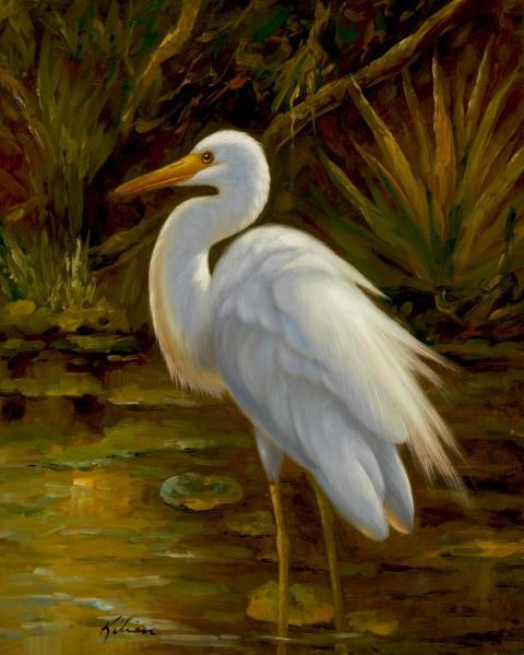 Tropical Egret II